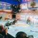 Illustration for article titled We Went To The Puppy Bowl And Brought Back Pictures Of Very Good Doggies And Cats